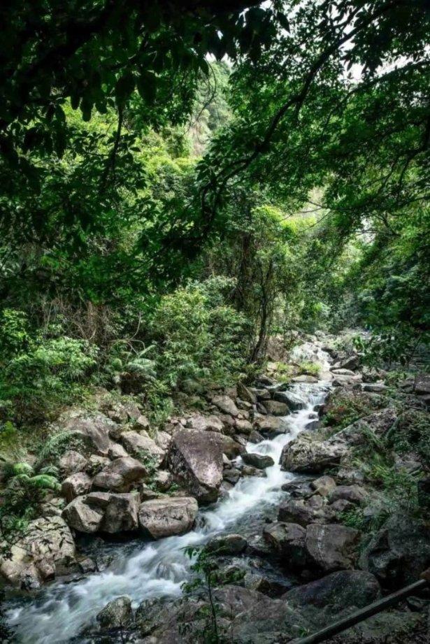 菏泽市运动员在山东省第七届冬季全民健身运动会短道速度轮滑比赛中夺得佳绩
